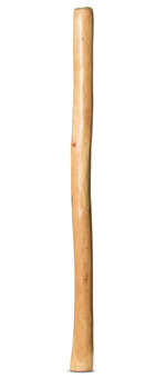 Medium Size Natural Finish Didgeridoo (TW868)